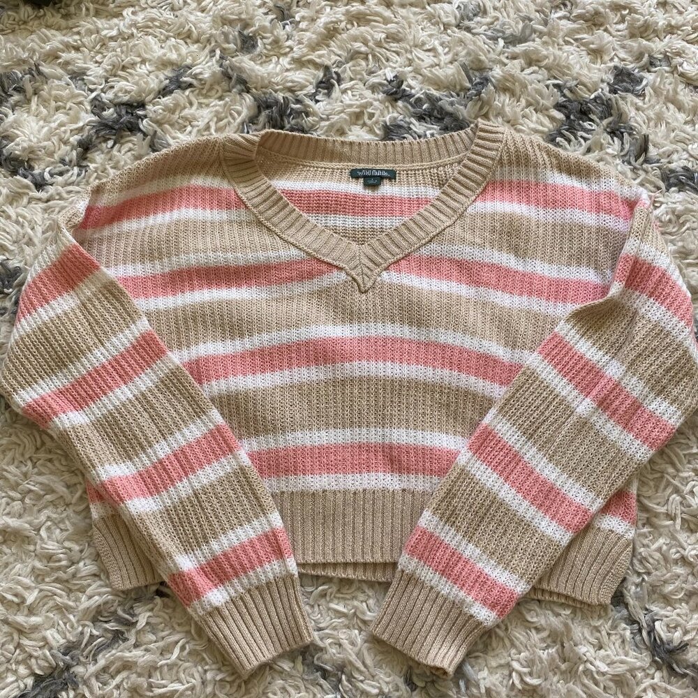 Target Wild Fable Sweater